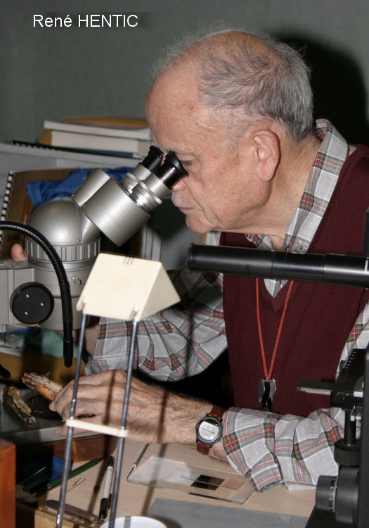 René HENTIC